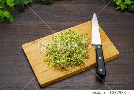 ブロッコリースプラウト 107797813