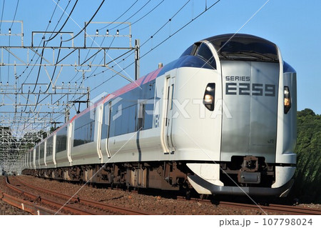 成田エクスプレス 259系(新塗装)物井~佐倉 成田エクスプレス 259系(新塗装)物井~佐倉 107798024