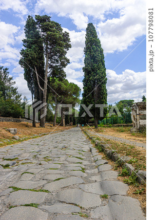 Vertical panorama of the Appian Way, Rome Vertical panorama of the Appian Way, Rome 107798081