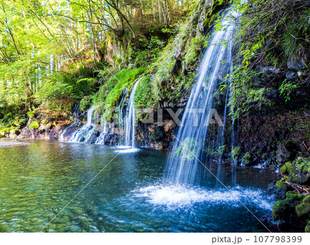 （静岡県）陣馬の滝 107798399