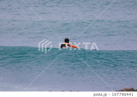サーファーの夏 サーファーの夏 107798441