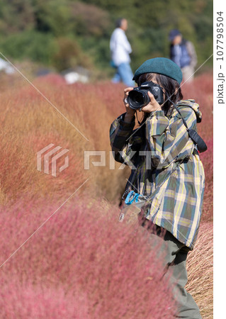 伊賀野のコキア畑を撮影する女性 107798504