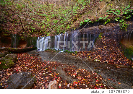 鮮やかな紅葉の軽井沢 107798879