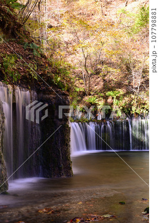 鮮やかな紅葉の軽井沢 鮮やかな紅葉の軽井沢 107798881