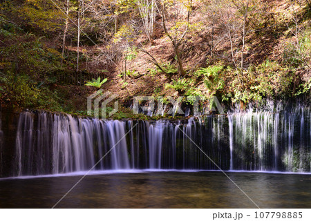 鮮やかな紅葉の軽井沢 鮮やかな紅葉の軽井沢 107798885