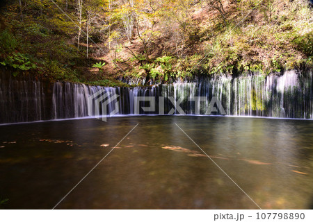 鮮やかな紅葉の軽井沢 107798890