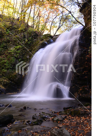 鮮やかな紅葉の軽井沢 107798904