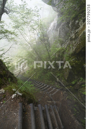 黒戸尾根五合目の梯子(甲斐駒ヶ岳) 黒戸尾根五合目の梯子(甲斐駒ヶ岳) 107799258