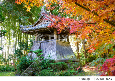 紅葉したモミジに包まれる鐘楼／秋の龍潭寺（京都府亀岡市） 107801023