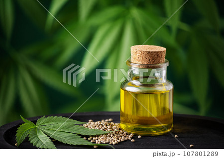 CBD hemp oil in a bottle and hemp seeds against cannabis leaf background. Hemp herbal alternative medicine. CBD hemp oil in a bottle and hemp seeds against cannabis leaf background. Hemp herbal alternative medicine. 107801289