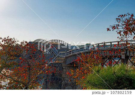 山口 日本三名橋 錦帯橋の秋景色 107802159