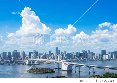 東京タワーとレインボーブリッジを望む夏のお台場都市風景 東京タワーとレインボーブリッジを望む夏のお台場都市風景 107802204