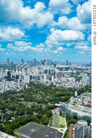 【都市風景】　真夏の新宿ビル群と夏雲 107802216