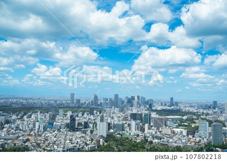 【都市風景】　真夏の新宿ビル群と夏雲 107802218
