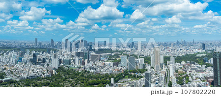 【都市風景】 真夏の新宿ビル群と夏雲 【都市風景】 真夏の新宿ビル群と夏雲 107802220