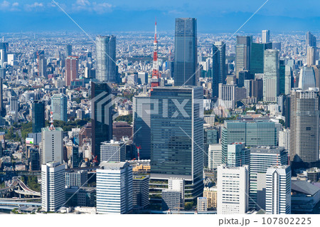 東京タワーが見守る発展する東京の街並み 107802225