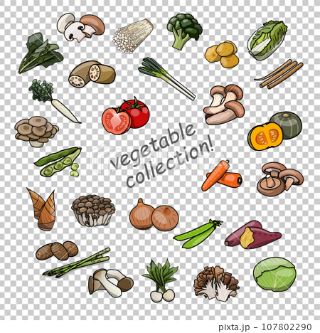 ポップな野菜のセット　イラスト素材 107802290