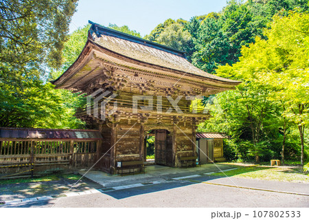 新緑の岐阜・美濃の大矢田神社 107802533