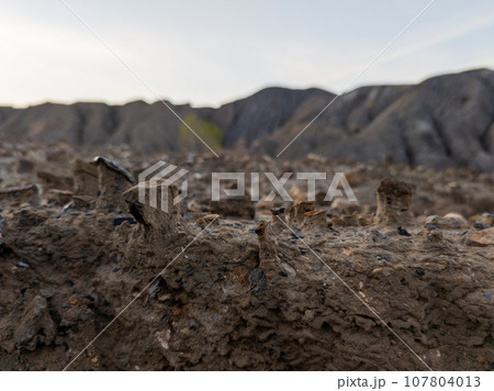eroded soil quarry ravine with columns of sand formed under stones at summer evening eroded soil quarry ravine with columns of sand formed under stones at summer evening 107804013