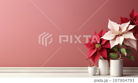 poinsettia flowers with copy space poinsettia flowers with copy space 107804791