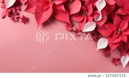 poinsettia flowers with copy space 107805378
