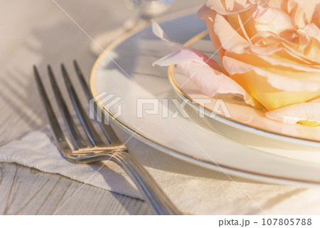 Romantic table setting; close up for salmon rose flower on the white plates, fork on the white napkin son sunlight 107805788