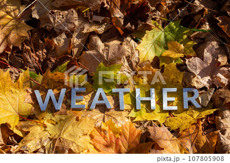 word weather laid with silver metal letters on fallen maple leaves on autumn forest floor word weather laid with silver metal letters on fallen maple leaves on autumn forest floor 107805908