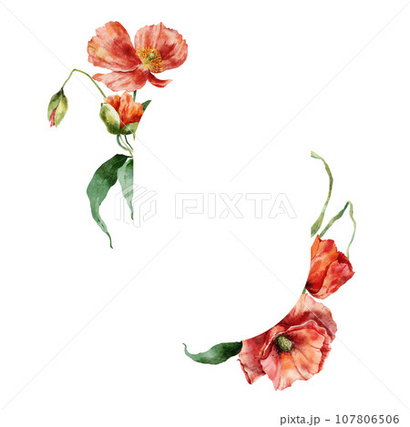 Watercolor minimalistic oval frame of red poppies. Hand painted floral illustration isolated on white background. For design, print, fabric or background. 107806506