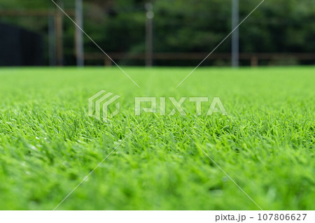 Artificial grass close-up. Artificial turf background. Artificial grass close-up. Artificial turf background. 107806627
