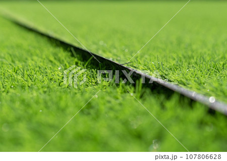 Artificial grass close-up. Artificial turf background. 107806628