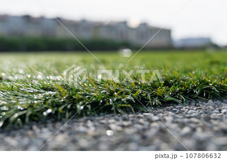 Evergreen artificial grass close-up. Landscaping of the yard with artificial turf. 107806632