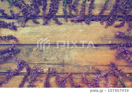 Lavender and sage flowers on a wooden table close-up. Horizontal boards of dark old wood with purple and blue flowers and leaves all around. Still life and flat lay. Free space for text. Copy space. 107807439