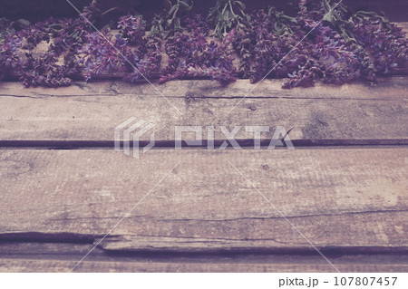 Lavender and sage flowers on a wooden table close-up. Horizontal planks of dark old wood with purple and blue flowers and leaves around the edges. Still life and flat lay. Free copy space for text 107807457