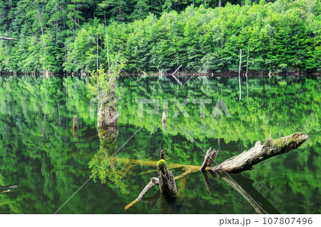 夏の自然湖 夏の自然湖 107807496