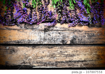 Lavender and sage flowers on a wooden table close-up. Horizontal planks of dark old wood with purple and blue flowers and leaves around the edges. Still life and flat lay. Free copy space for text Lavender and sage flowers on a wooden table close-up. Horizontal planks of dark old wood with purple and blue flowers and leaves around the edges. Still life and flat lay. Free copy space for text 107807558