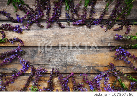 Lavender and sage flowers on a wooden table close-up. Horizontal boards of dark old wood with purple and blue flowers and leaves all around. Still life and flat lay. Free space for text. Copy space. Lavender and sage flowers on a wooden table close-up. Horizontal boards of dark old wood with purple and blue flowers and leaves all around. Still life and flat lay. Free space for text. Copy space. 107807566