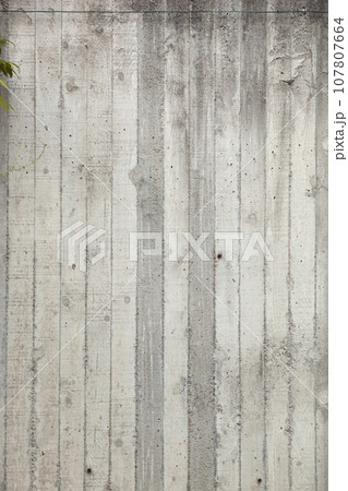 The texture of a gray wooden fence. Montenegro 107807664