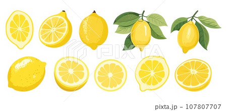 Isolated citrus clipart, lemons slices, cut and on branch with green leaves. Fresh vitamin C food, lemon vector collection 107807707