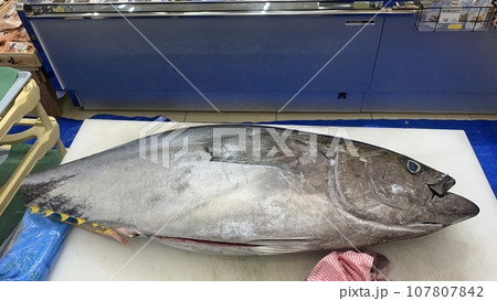 マグロの解体ショー 生魚センター マグロの解体ショー 生魚センター 107807842