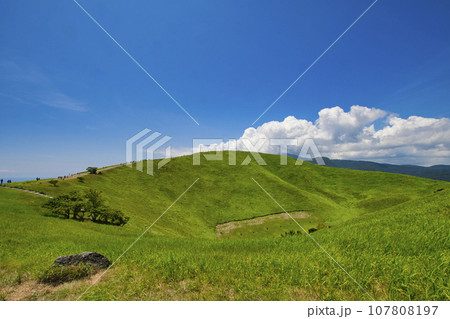 【静岡県】伊豆・大室山の風景 107808197