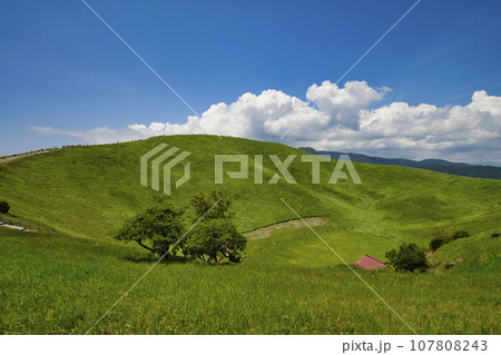 【静岡県】伊豆・大室山の風景 107808243
