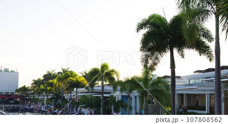 平成s654 平成s654 107808562