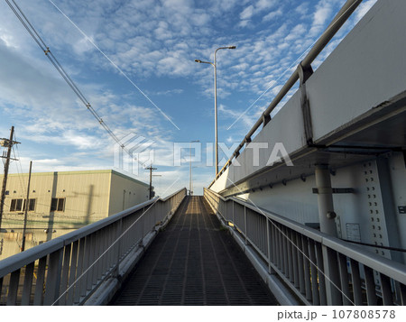 大和川を渡る橋の歩道 大和川を渡る橋の歩道 107808578