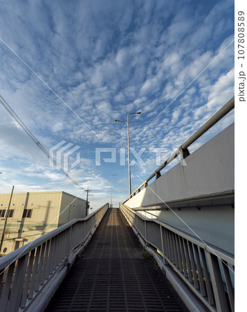 大和川を渡る橋の歩道 大和川を渡る橋の歩道 107808589