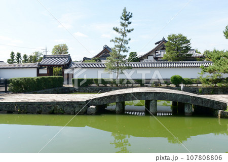 妙心寺 放生池 京都市右京区花園 妙心寺 放生池 京都市右京区花園 107808806