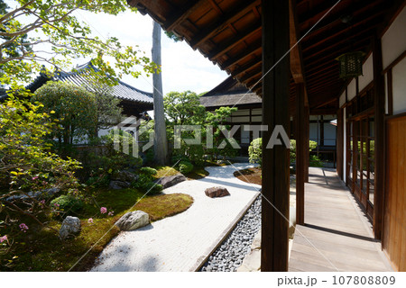 妙心寺　大心院　京都市右京区花園 107808809