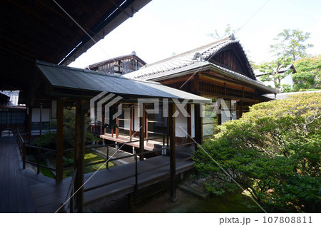 妙心寺 大心院 京都市右京区花園 妙心寺 大心院 京都市右京区花園 107808811