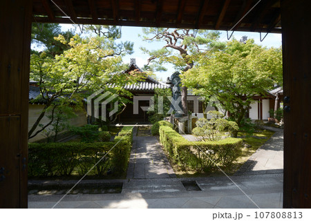 妙心寺　霊雲院　京都市右京区花園 107808813