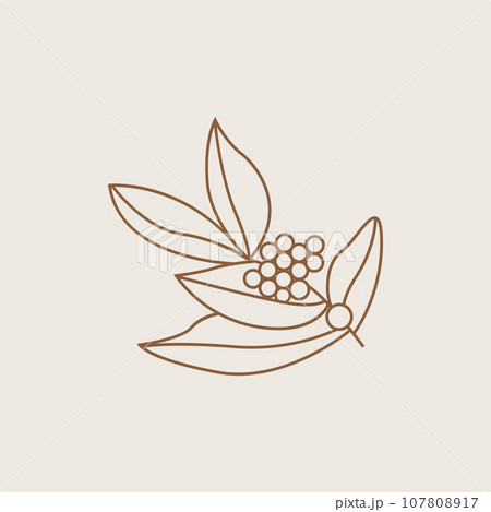 Coffee Logo, Coffee Tree Design, Cafe Drink Vector, Icon Brand Illustration Symbol 107808917