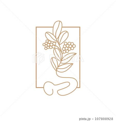 Coffee Logo, Coffee Tree Design, Cafe Drink Vector, Icon Brand Illustration Symbol 107808928